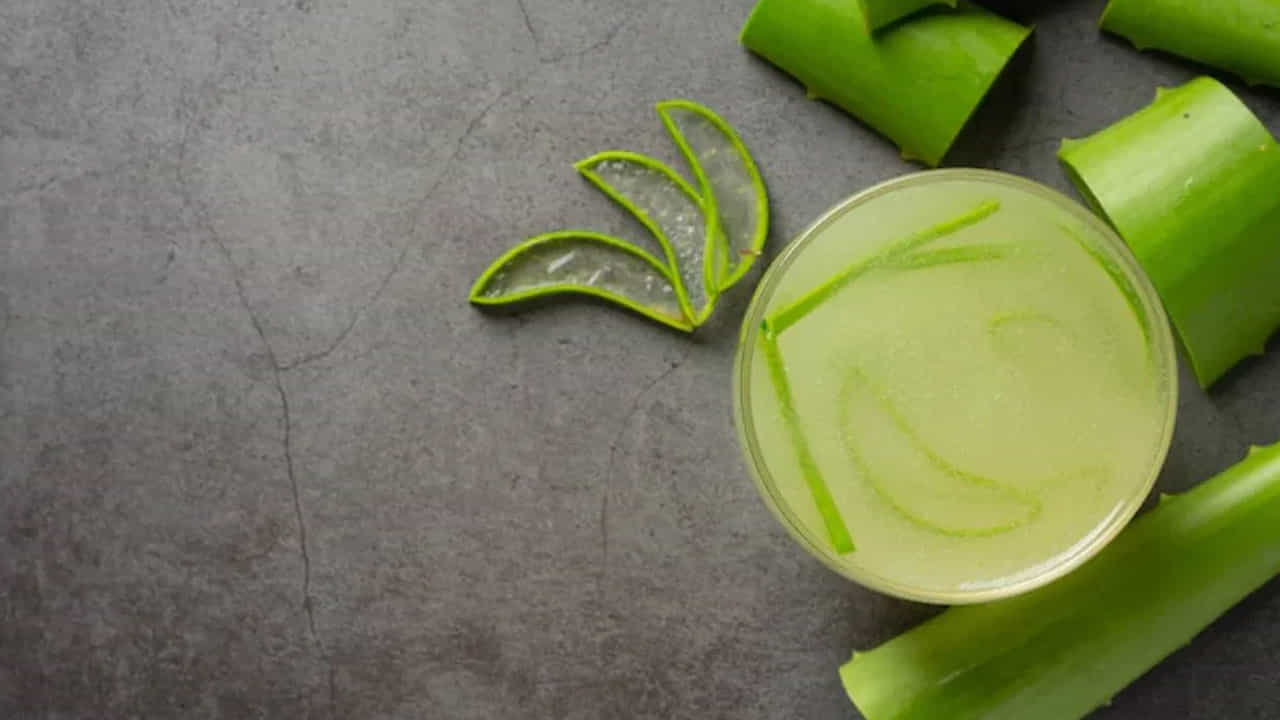 Aloe Vera