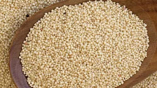 Health news : ఈ తెల్లటి గింజలను మీ ఆహారంలో చేర్చుకోండి..ఈజీగా బరువు తగ్గుతారు..