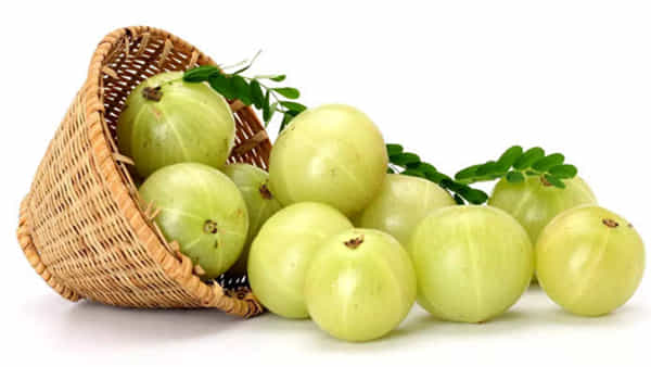 Amla Side Effects: ఈ వ్యక్తులు ఉసిరిని అస్సలు తినకూడదు.. తింటే లాభానికి బదులు ఆరోగ్యానికి నష్టమే..!
