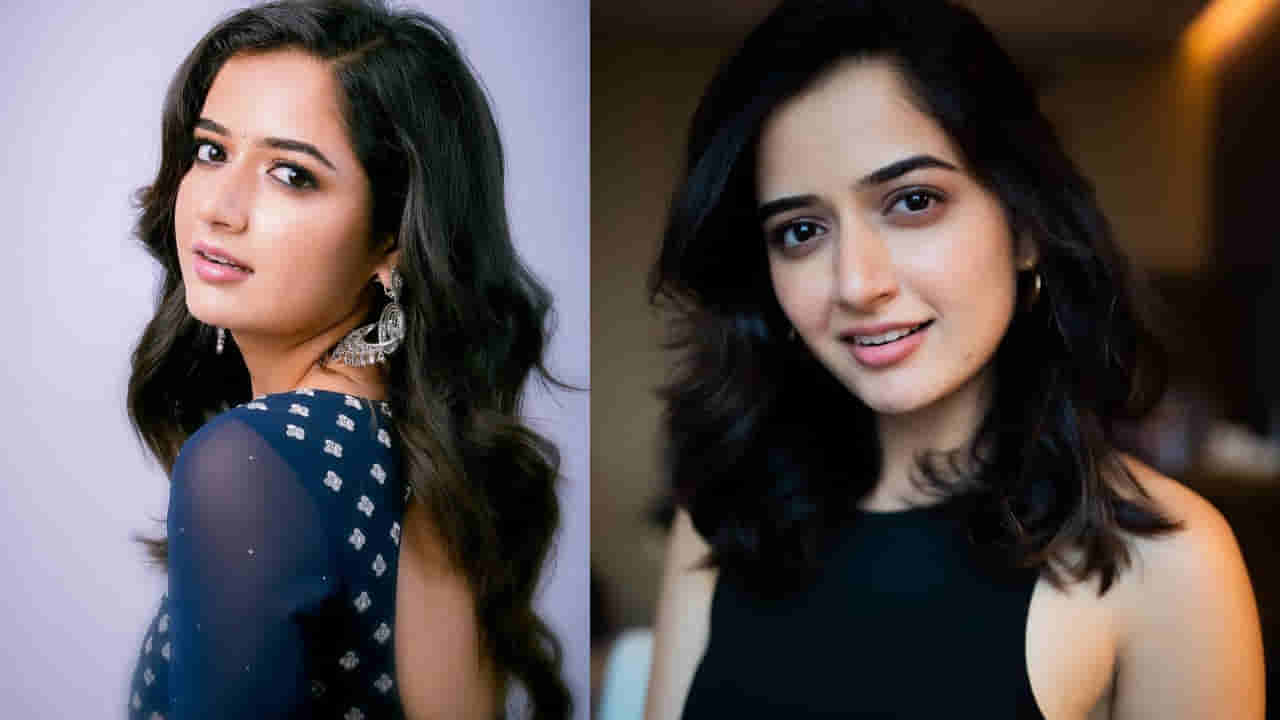Ashika Ranganath: ఆ కారణంతోనే ఇన్నాళ్లు తెలుగులో సినిమాలు చేయలేదు.. హీరోయిన్ ఆషికా రంగనాథ్ ఇంట్రెస్టింగ్ కామెంట్స్..