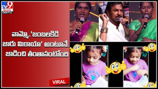 Viral Video: నల్లటి చీకటి.. దట్టమైన అడవి.. ఒకవైపు సింహం.. మరోవైపు కొండచిలువ.. కట్ చేస్తే..