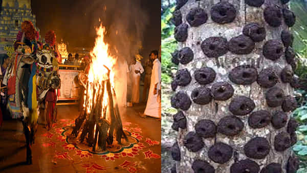Bhogi 2023: భోగి మంటలతో ఆరోగ్యం.. పిడకలు వేయడం వెనుక సైన్స్ రీజన్ ఏమిటో తెలుసా