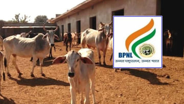 BPNL Recruitment: కేంద్ర ప్రభుత్వ సంస్థలో భారీగా ఉద్యోగాలు.. ఇలా అప్లై చేసుకోండి.