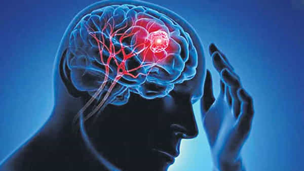 Brain Tips: మెదడు చురుకుదనానికి అద్భుతమైన చిట్కాలు.. శాస్త్రవేత్తల పరిశోధనలలో కీలక విషయాలు