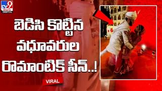 నడిరోడ్డుపై పడగవిప్పి అడ్డంగా నిల్చున్న నాగుపాము.. భారీగా ట్రాఫిక్ జామ్..