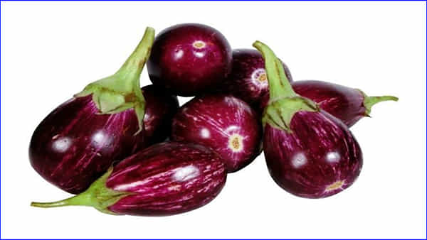 Brinjal Side Effects: ఈ వ్యక్తులకు వంకాయ పెను ప్రమాదమే.. అస్సలు తినొద్దంటున్న నిపుణులు.. ఎందుకంటే..