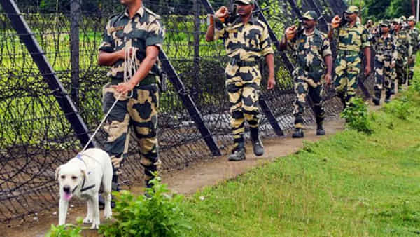 BSF Dog Pregnant: సరిహద్దులో విధుల్లో ఉన్న స్నిపర్ డాగ్కు గర్భం.. విచారణ చేపట్టిన ఆర్మీ అధికారులు