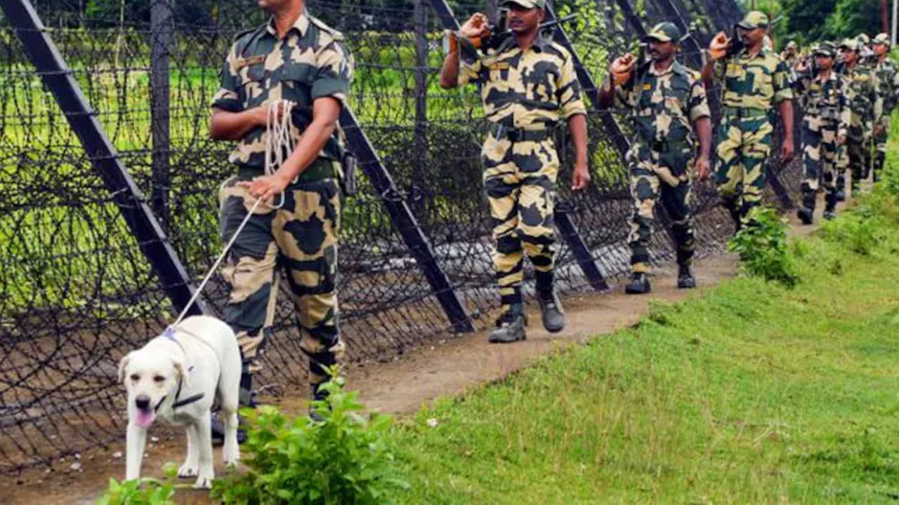 BSF Dog Pregnant: సరిహద్దులో విధుల్లో ఉన్న స్నిపర్‌ డాగ్‌కు గర్భం.. విచారణ చేపట్టిన ఆర్మీ అధికారులు
