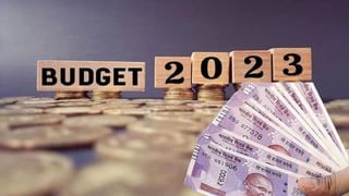 Budget 2023: డిజిన్వెస్ట్మెంట్ అంటే ఏమిటి? ఆస్తులు, కంపెనీల విక్రయం ద్వారా వచ్చే ఆదాయాన్ని ఏమంటారు?