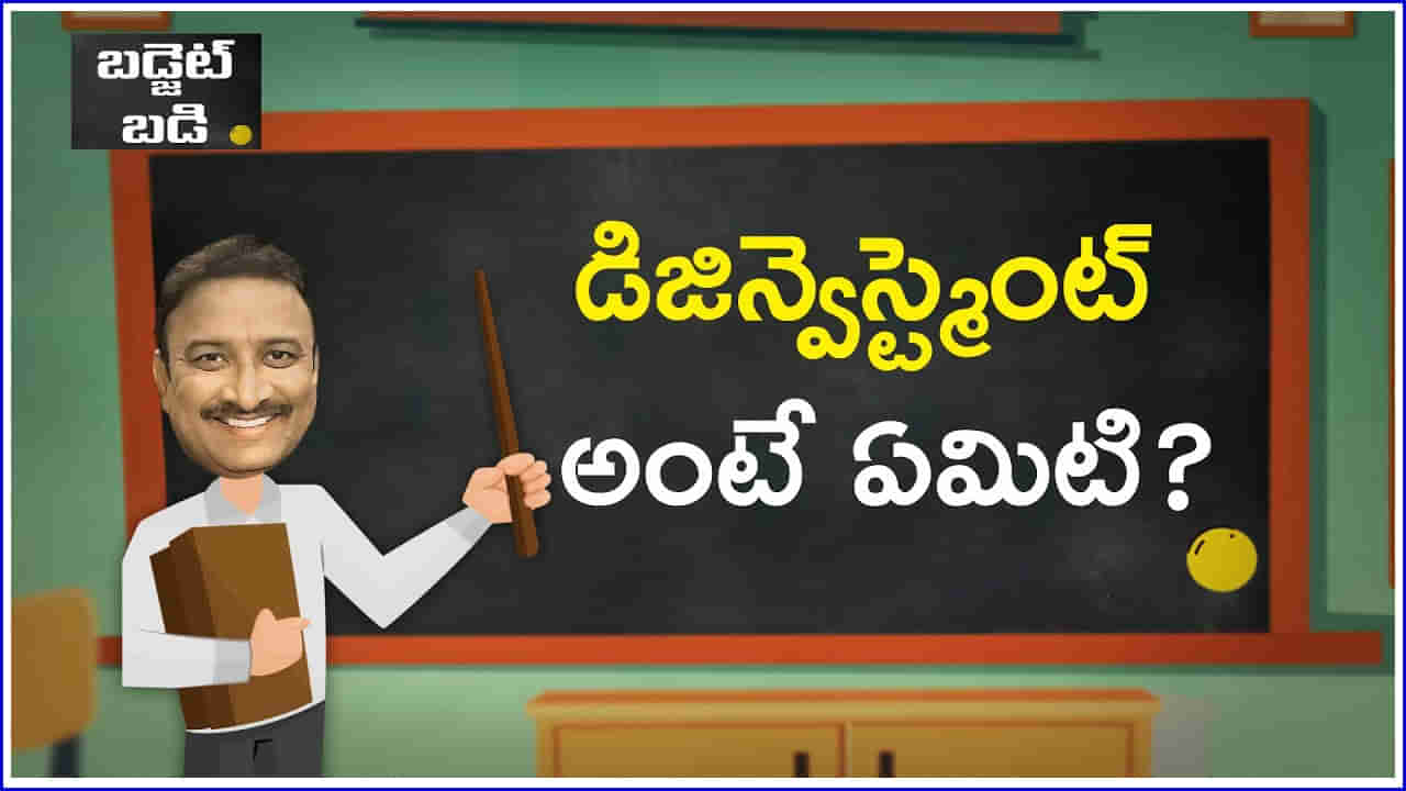 Budget 2023: డిజిన్వెస్ట్మెంట్ అంటే ఏమిటి? ఆస్తులు, కంపెనీల విక్రయం ద్వారా వచ్చే ఆదాయాన్ని ఏమంటారు?