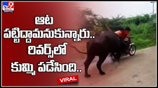 Naaji Noushi: ఒంటరిగా కారులో.. ఆ మహిళకు నా సెల్యూట్‌.. ఆనంద్‌ మహీంద్రా ట్వీట్‌..