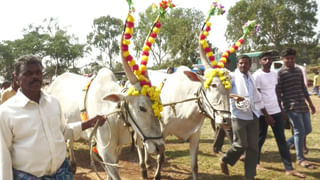 Success Mantra: విజయం మీ చేతి రేఖల్లో లేదు.. నుదిటి చెమటలో ఉంది.. కృషి పట్టుదల  ప్రాముఖ్యత గురించి తెలుసుకోండి..