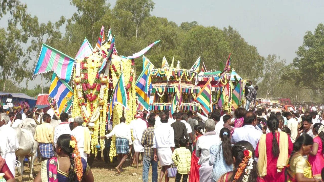  కస్తూర్ బండి జాతర..  ఇది 16 గ్రామాల నుండి అలంకరించబడిన బండ్లు సమావేశమయ్యాయి. ఈ సమావేశంలో పూర్వనుంచి వస్తున్న ఆచారం ప్రకారం బండ్లు.. ఆధునికతకు గుర్తుగా కార్లు ఉన్నాయి. వధువుల వలె అలంకరించబడిన ఎద్దుల బండ్లు  ఆకర్షణీయంగా సందర్శకులను అలరించాయి. 