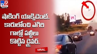 గడ్డి కోసం డాబా ఎక్కిన దున్నపోతు.. కిందకు దించేందుకు ఎంత ఖర్చు అయ్యిందంటే ??