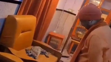 CM Video Viral: సోఫాలో దర్జాగా నిద్రపోతున్న పిల్లితో ముఖ్యమంత్రి ముచ్చట్లు .. వీడియో వైరల్!