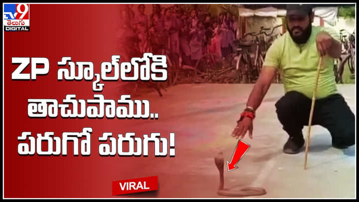 Snake: జెడ్పీ స్కూల్లోకి తాచుపాము.. పరుగో పరుగు.! వైరల్ అవుతున్న వీడియో.. Snake: జెడ్పీ స్కూల్లోకి తాచుపాము.. పరుగో పరుగు.! వైరల్ అవుతున్న వీడియో..