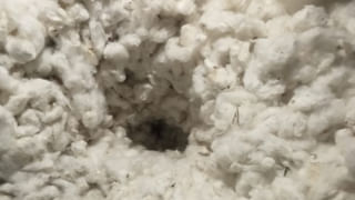 CISF Jawan: మిస్టరీగా మారిన సీఐఎస్ఎఫ్ జవాన్‌ సూసైడ్.. డ్యూటీకి వెళ్తున్నానంటూ హకీంపేటలో ఆత్మహత్య..