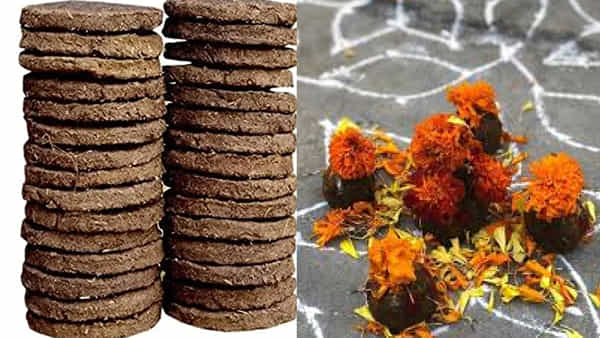Andhra pradesh: పండగ షాపింగ్ లో భోగి పిడకలు.. భలే గిరాకీ.. ఎక్కడ అమ్ముతున్నారో తెలుసా..?