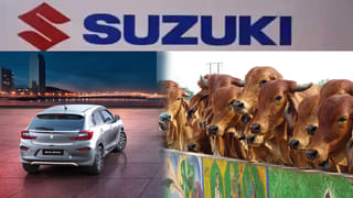 Gold Price Today: పసిడి ప్రియులకు అలెర్ట్.. మళ్లీ షాకిచ్చిన బంగారం ధరలు.. తెలుగు రాష్ట్రాల్లో..