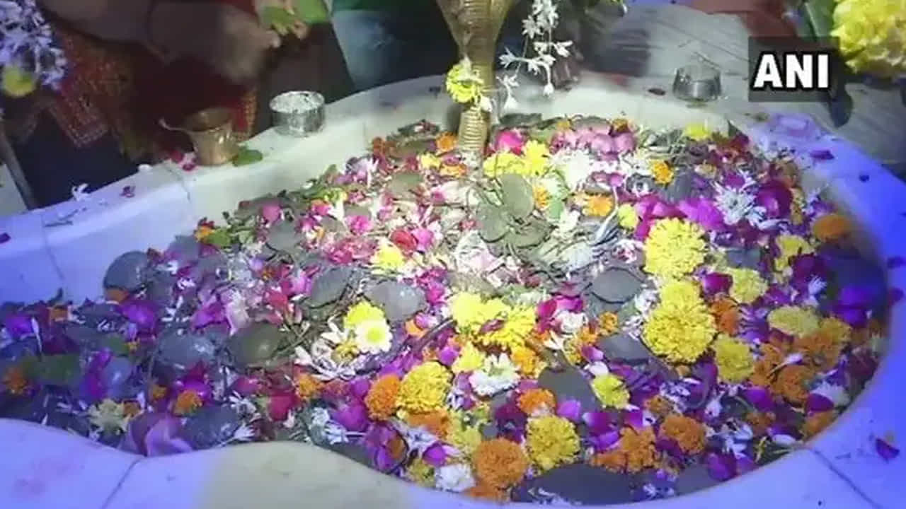 చెవుడు వంటి సమస్యలు కూడా తగ్గిపోతాయని నమ్ముతారట. స్వామికి పూజలు చేసిన తరువాత భక్తులు అక్కడి శ్మశానంలోని వారి వారి బంధువుల సమాధుల వద్ద ప్రత్యేక ప్రార్థనలు నిర్వహిస్తారు.
