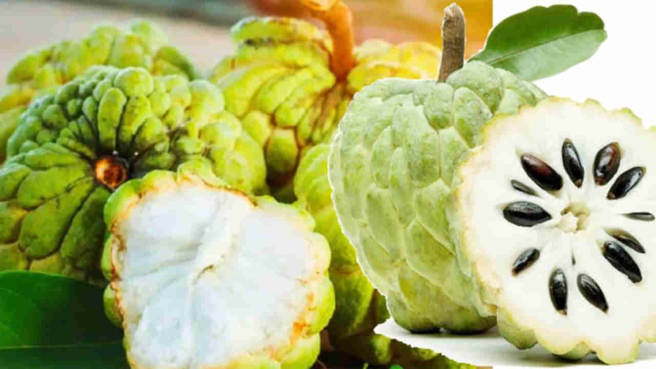 Custard Apple: సీతాఫలమే ఆరోగ్యానికి శ్రీరామరక్ష.. దీని ప్రయోజనాలు తెలిస్తే మీరు ఒప్పుకోవాల్సిందే...