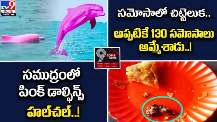 Digital TOP 9 NEWS: సముద్రంలో పింక్ డాల్ఫిన్స్ హల్చల్ !! | సమోసాలో చిట్టెలుక.. అప్పటికే అమ్మేశాడు !! Digital TOP 9 NEWS: సముద్రంలో పింక్ డాల్ఫిన్స్ హల్చల్ !! | సమోసాలో చిట్టెలుక.. అప్పటికే అమ్మేశాడు !!