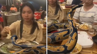 Viral Video: సాంప్రదాయ చీరకట్టులో జిమ్‌ వర్కవుట్స్‌ చేస్తున్న మహిళ.. వావ్‌ అంటూ నోరెళ్ల బెడుతున్న నెటిజన్లు…