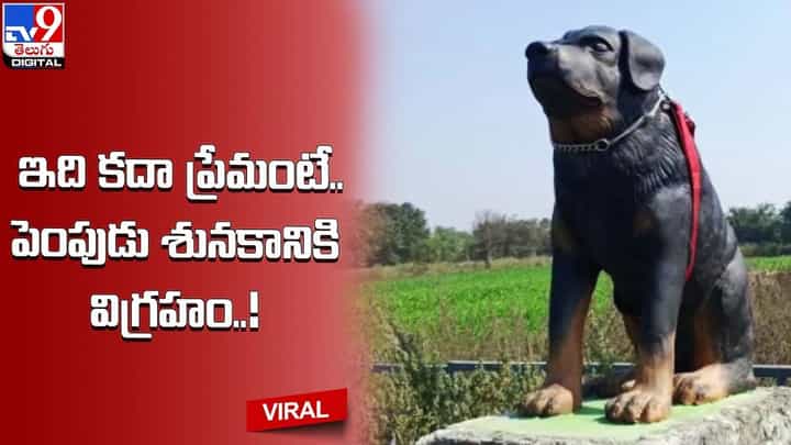 ఇది కదా ప్రేమంటే.. పెంపుడు శునకానికి విగ్రహం !! ఇది కదా ప్రేమంటే.. పెంపుడు శునకానికి విగ్రహం !!