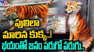 వైరల్‌ అవుతున్న .. ఓలా రెస్ట్‌ రూమ్స్‌ వీడియోలో నిజమెంత ??