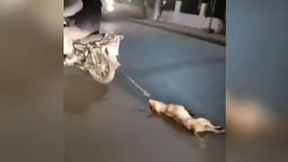 Assembly Note Scandal: అసెంబ్లీకి నోట్ల కట్టలు తెచ్చిన ఎమ్మెల్యే.. అది చూసి అధికార, ప్రతి పక్షాలు షాక్..