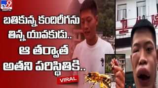 Viral Video: ట్రాక్టర్‌ను ఢీకొన్న టాటా టియాగో.. రెండు ముక్కలైన ట్రాక్టర్‌.. సోషల్‌ మీడియాలో వీడియో వైరల్‌