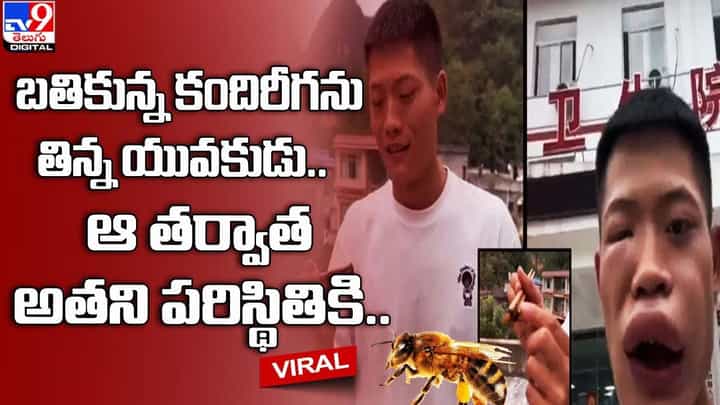 బతికున్న కందిరీగను తిన్న యువకుడు.. ఆ తర్వాత అతని పరిస్థితికి ?? బతికున్న కందిరీగను తిన్న యువకుడు.. ఆ తర్వాత అతని పరిస్థితికి ??