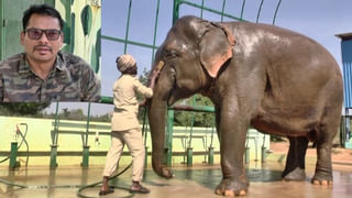 Modi Cabinet Expansion: బడ్జెట్ 2023కి ముందు మోదీ క్యాబినెట్‌ విస్తరణ.. తెలుగు రాష్ట్రాల ఎంపీలకు జాక్‌పాట్‌.. ఈ ఛాన్స్ దక్కేది ఎవరికంటే..