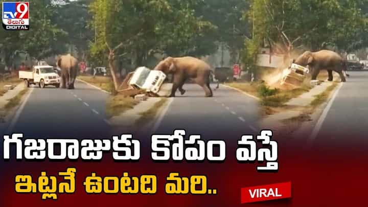 గజరాజుకు కోపం వస్తే ఇట్లనే ఉంటది మరి !! నెట్టింట వైరల్ అవుతున్న వీడియో గజరాజుకు కోపం వస్తే ఇట్లనే ఉంటది మరి !! నెట్టింట వైరల్ అవుతున్న వీడియో