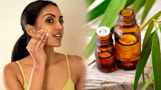 Immunity Boosters: మీ శరీర రోగనిరోధక వ్యవస్థను పటిష్టం చేయాలనుకుంటే.. తప్పక తీసుకోవలసిన ఆహారాలు ఇవే..