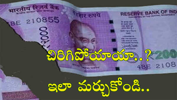 చిరిగిన కరెన్సీ నోట్లు ఉన్నాయని చింతించకండి..! కొత్త నోట్లుగా ఎలా మర్చుకోవచ్చంటే..
