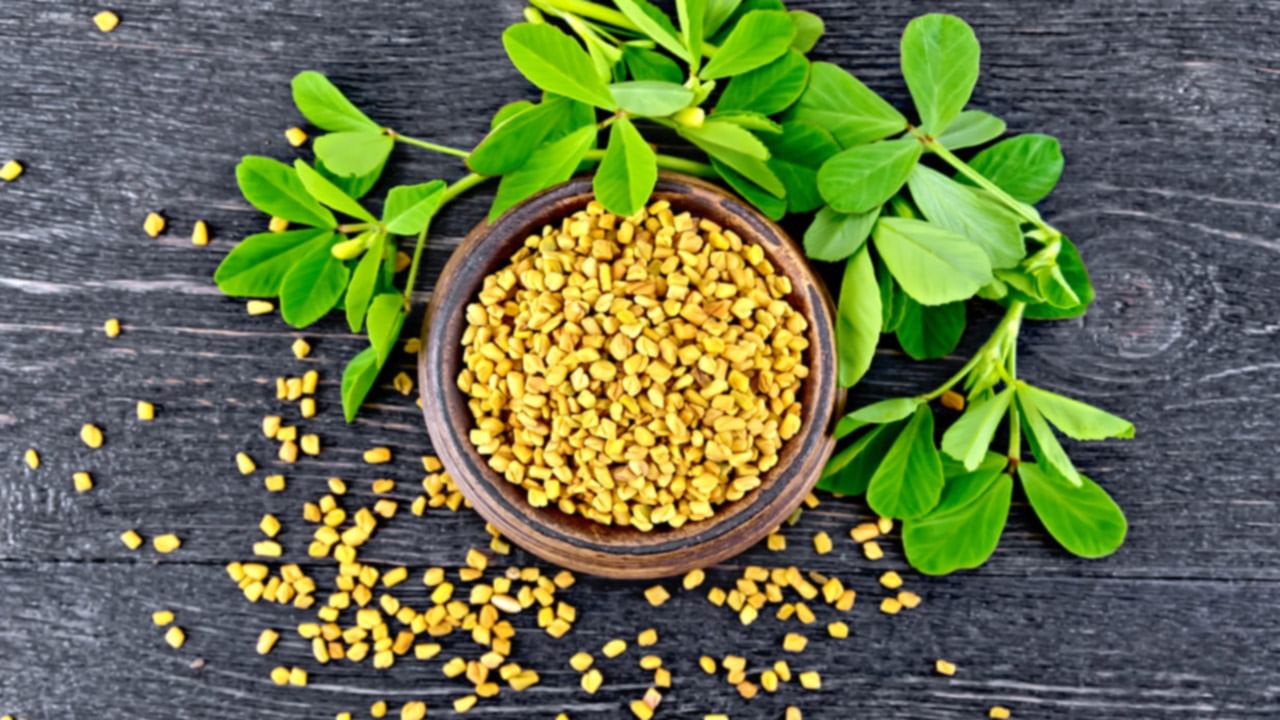 Fenugreek for Health: మెంతులతో ఇన్ని ఆరోగ్య ప్రయోజనాలా..? తెలిస్తే ఆశ్చర్యపోవాల్సిందే..