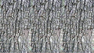 Cyber Crime: వీడియో లైక్ చేస్తే రూ.50.. తియ్యని మాటలతో నమ్మించి.. ఉన్నదంతా ఊడ్చేశారు..