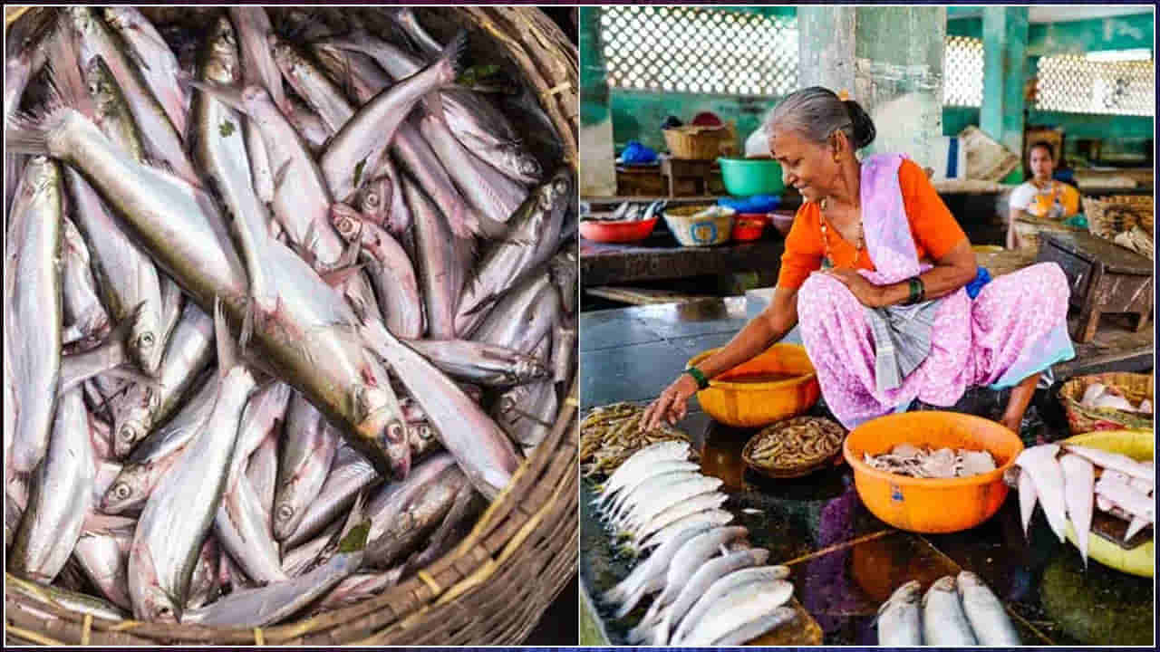 Winter Foods: శీతాకాలంలో చేపలు తింటే ఏమవుతుంది..? ఒమేగా-3 ఫ్యాటీ యాసిడ్స్ లోపాన్ని తీరుస్తుందా?