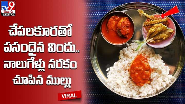 చేపలకూరతో పసందైన విందు.. నాలుగేళ్లు నరకం చూపినముల్లు !! చేపలకూరతో పసందైన విందు.. నాలుగేళ్లు నరకం చూపినముల్లు !!