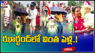 Viral Video: మొసలితోనే గేమ్సా..? ఏం జరిగిందో తెలిస్తే ఫ్యూజులవుట్