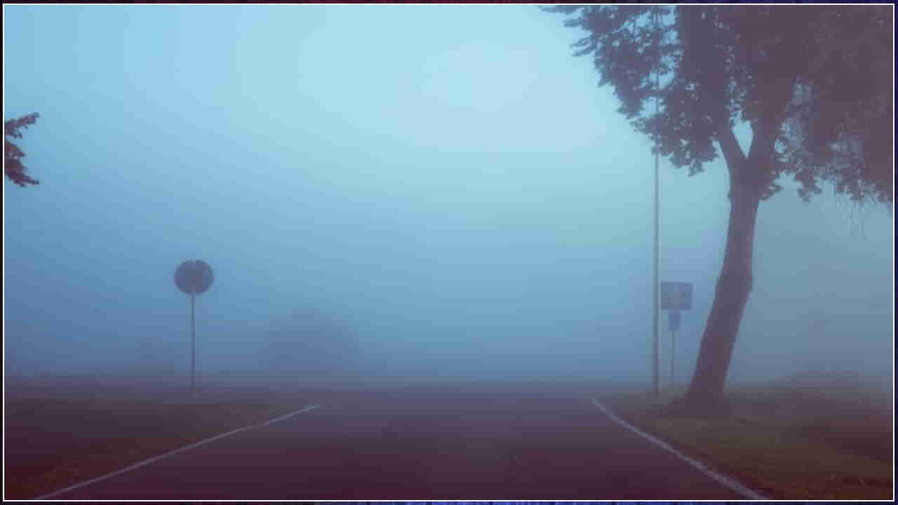 Fog Reason: పొగమంచు ఎందుకు ఏర్పడుతుంది..? తేమ లేదా ఆర్ద్రత అంటే ఏమిటి?