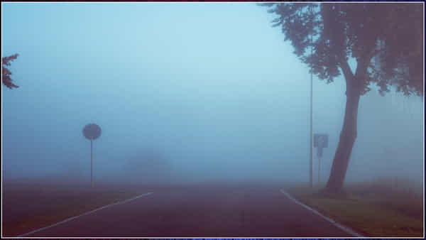 Fog Reason: పొగమంచు ఎందుకు ఏర్పడుతుంది..? తేమ లేదా ఆర్ద్రత అంటే ఏమిటి?