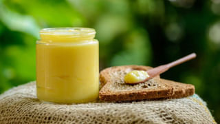 Biryani Leaf Benefits: ఆ సమస్యలున్న వారికి వరం బిర్యానీ ఆకులు.. ఇలా తీసుకుంటే ప్రమాదకర వ్యాధులు సైతం..