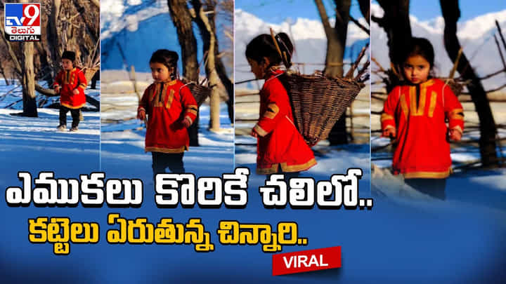 ఎముకలు కొరికే చలిలో.. కట్టెలు ఏరుతున్న చిన్నారి.. నెట్టింట యమా వైరల్ అవుతున్న వీడియో ఎముకలు కొరికే చలిలో.. కట్టెలు ఏరుతున్న చిన్నారి.. నెట్టింట యమా వైరల్ అవుతున్న వీడియో