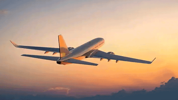 GoFirst flight: బస్సులో 54 మంది ప్రయాణికులు.. ఎక్కకుండానే ఎగిరిపోయిన విమానం