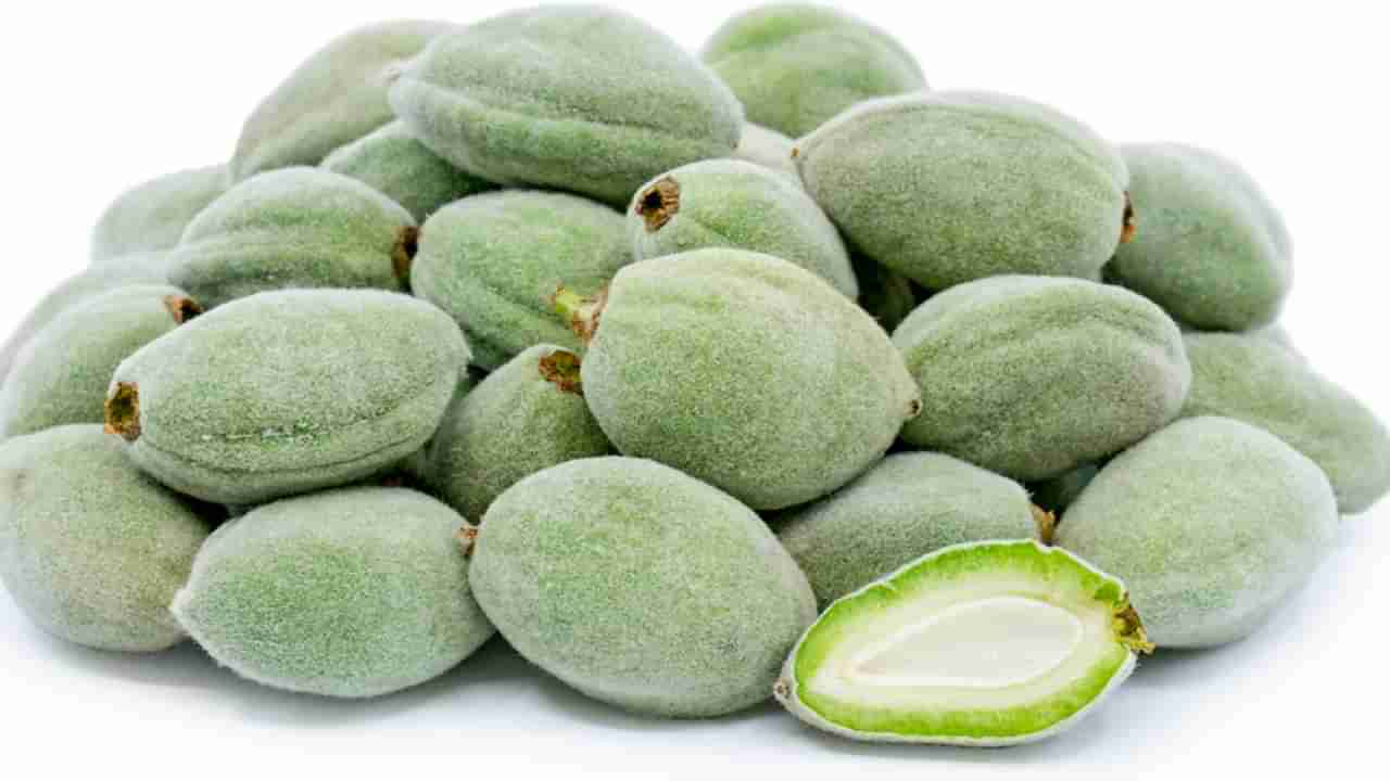 Green Almonds: పచ్చి బాదంపప్పుతో ఇన్ని ఆరోగ్య సమస్యలకు పరిష్కారమా..? అవేమిటో తెలిస్తే ఆశ్చర్యపోవడంతో పాటు ఆరగించాల్సిందే..