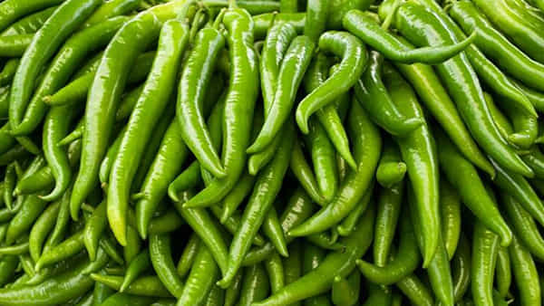 Health Tips: కారంగా ఉన్నా మంచిదే.. పచ్చిమిర్చితో బోలెడు ఆరోగ్య ప్రయోజనాలు..