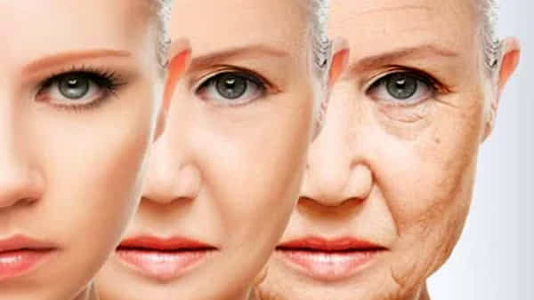 Anti Aging Diet: చర్మంలోని వృద్ధాప్య ఛాయలను నివారించేందుకు తప్పక తీసుకోవలసిన ఆహారం.. తింటే సమస్య మటుమాయమే..