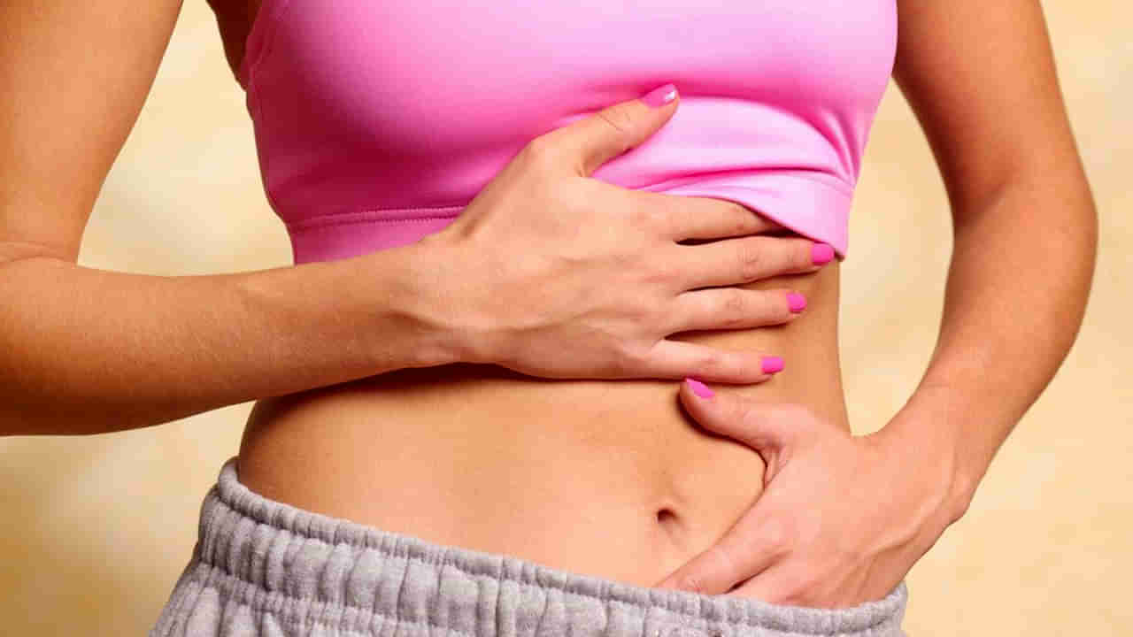 Healthy Digestive System: ఈ సులభమైన 5 పద్ధతులను పాటిస్తే.. మెరుగైన జీర్ణవ్యవస్థ మీ సొంతం.. ఏం చేయాలంటే..